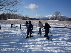 kaidasnowshoe