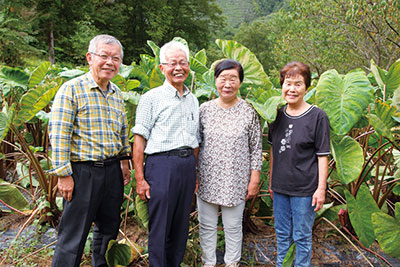 画像：地域の様子