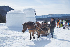 2017木曽路 氷雪の灯祭り