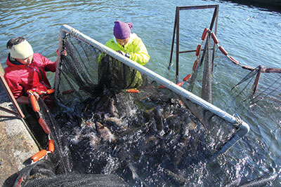 海なし県 信州で出会う、川魚の世界