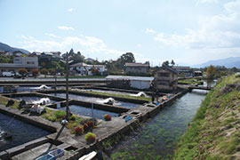 海なし県 信州で出会う、川魚の世界