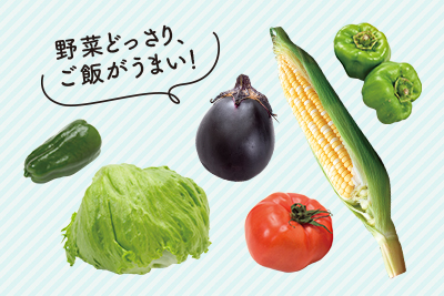 野菜どっさり、ご飯がうまい！