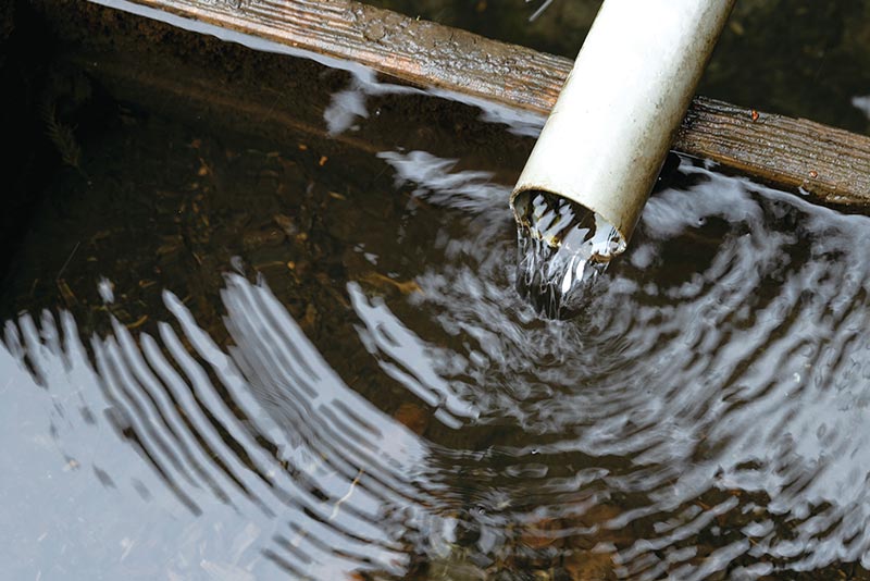 栽培に使用する湧水は名水百選にも選定されている「猿庫の泉」と同じ水系