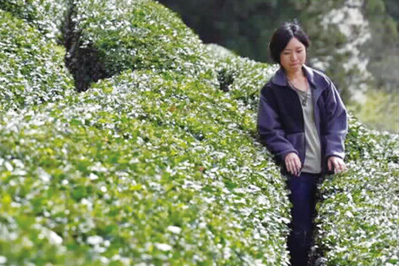 協力隊の前田さん