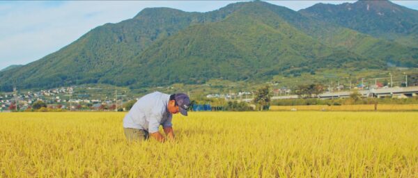 画像：果実栽培にも適した土地