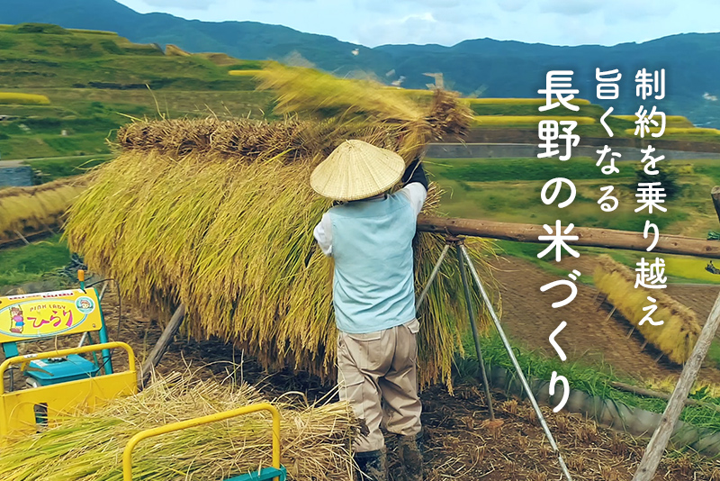 画像：制約を乗り越え旨くなる長野の米づくり