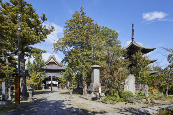 画像：本堂（薬師堂）や、国重要文化財指定の三重塔などが揃う信濃国分寺の境内。三重塔は室町時代中期の建築で、国分寺の塔の中で最古とされる